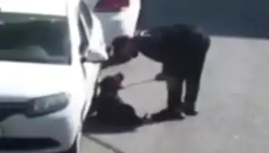 Köpeğini Döven Adam 8 Bin TL Ceza Aldı