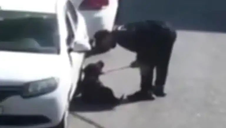 Köpeğini Döven Adam 8 Bin TL Ceza Aldı